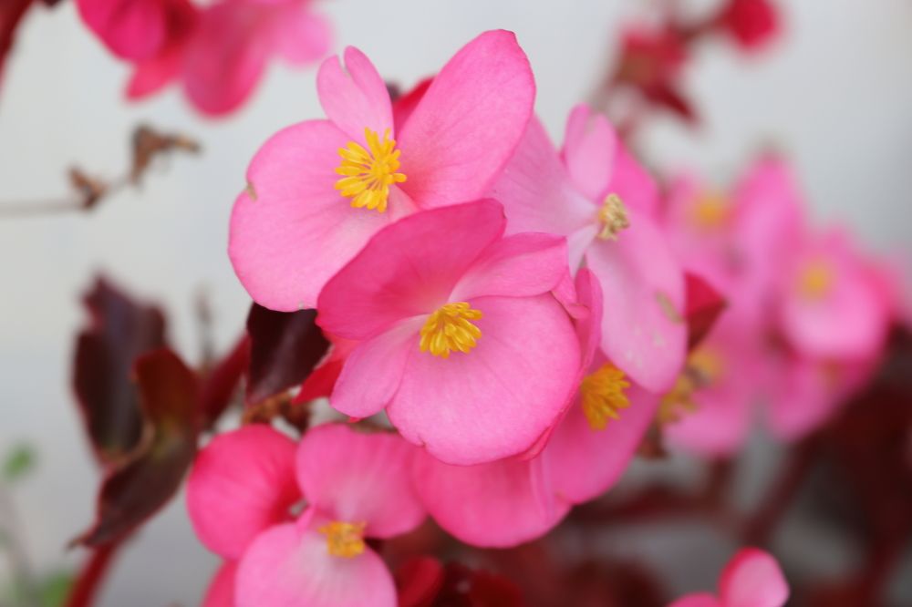 Photograph by Николай