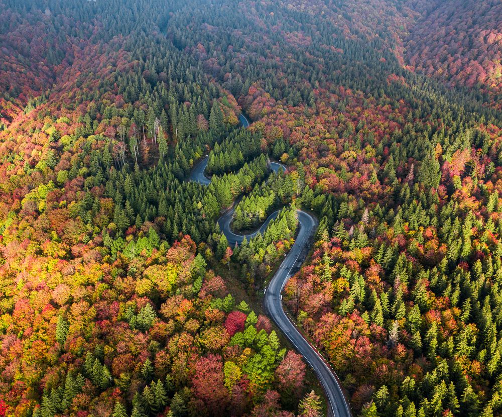 Photograph by George Alexandru Ghiuro