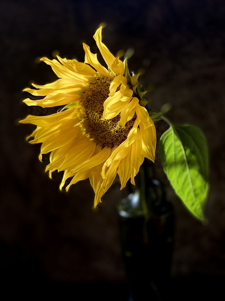 Фотография автора Evgeniya Ivanova