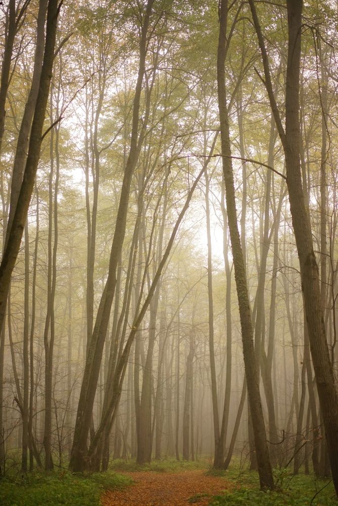 Photograph by Елизавета Фирстова