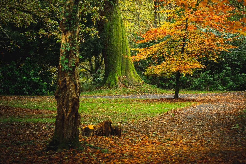 Photograph by Petrov Ivaylo