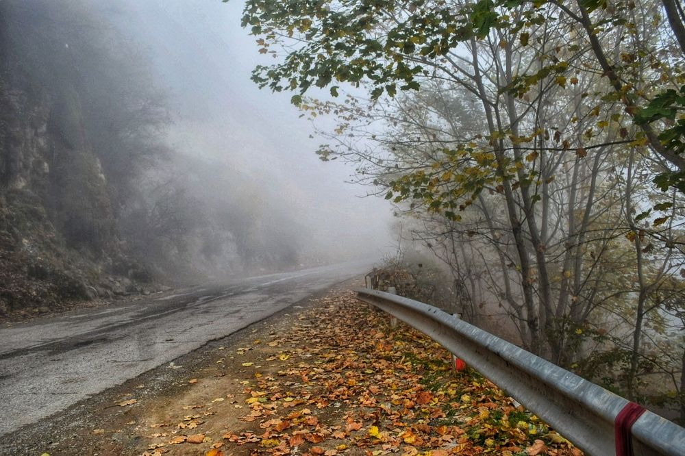 Photograph by Sarah Mirzakazemi