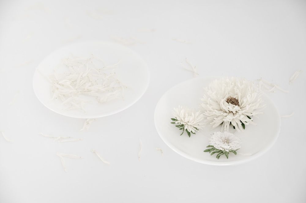 Photograph by Liliia Slobodianiuk