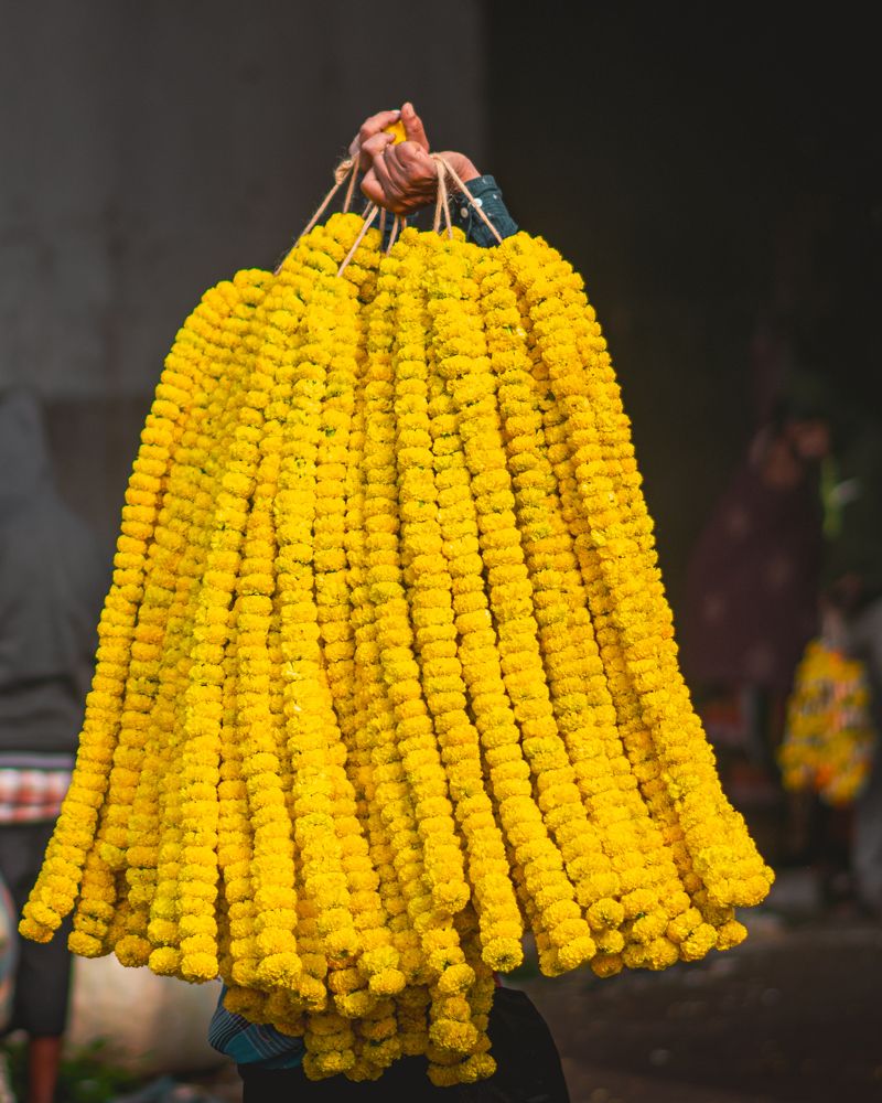 Photograph by hoppingbong