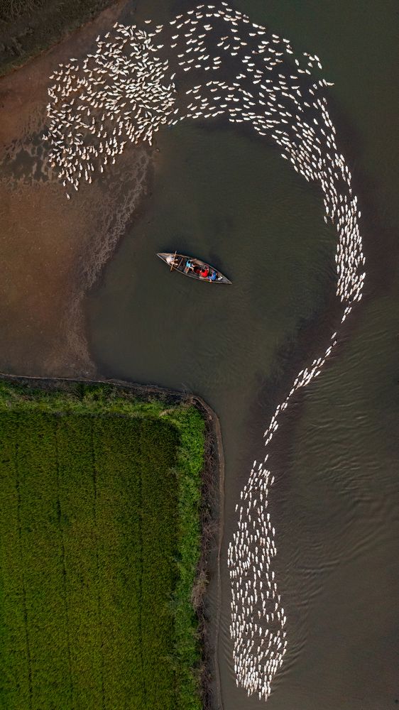 Photograph by Minh Tho Phan