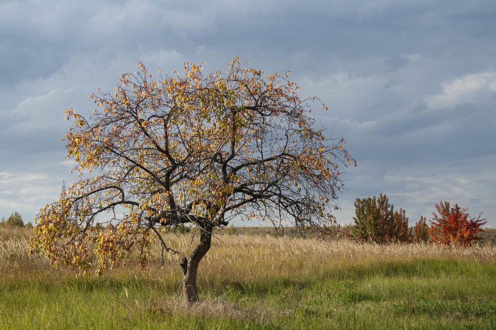 Photograph by Вера Почкалина