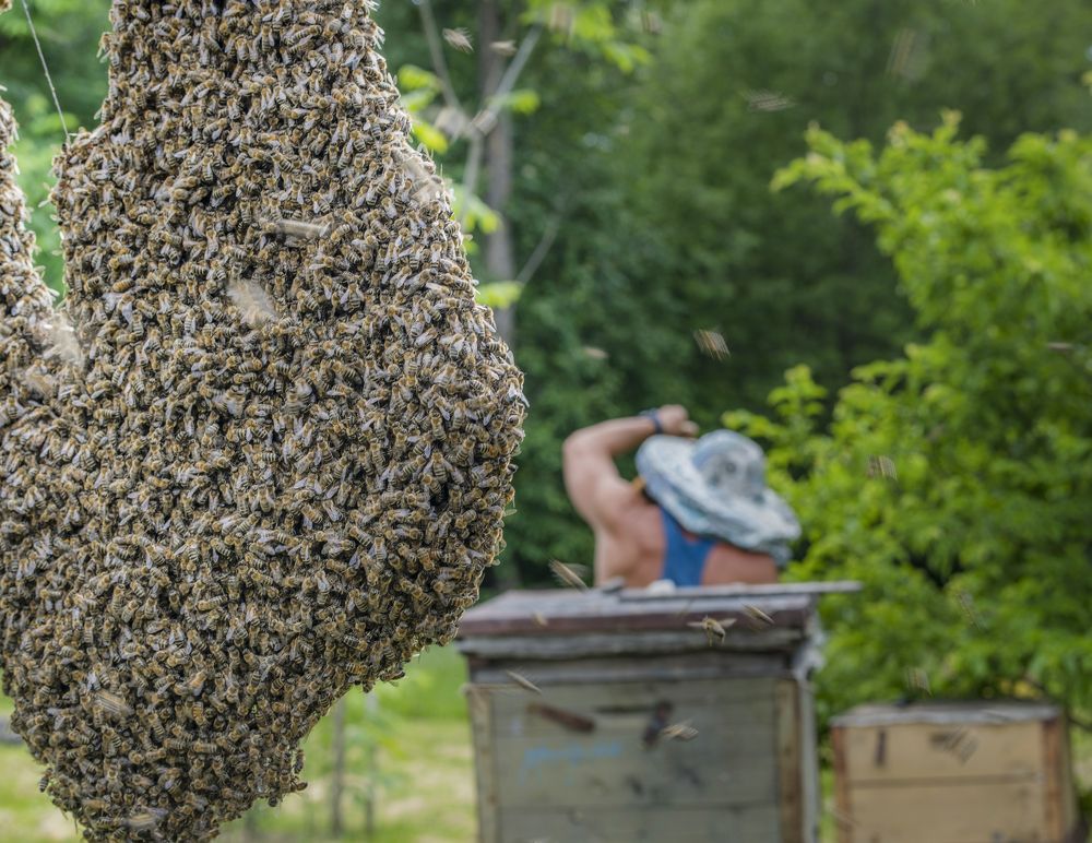 Photograph by Сергей Галёса