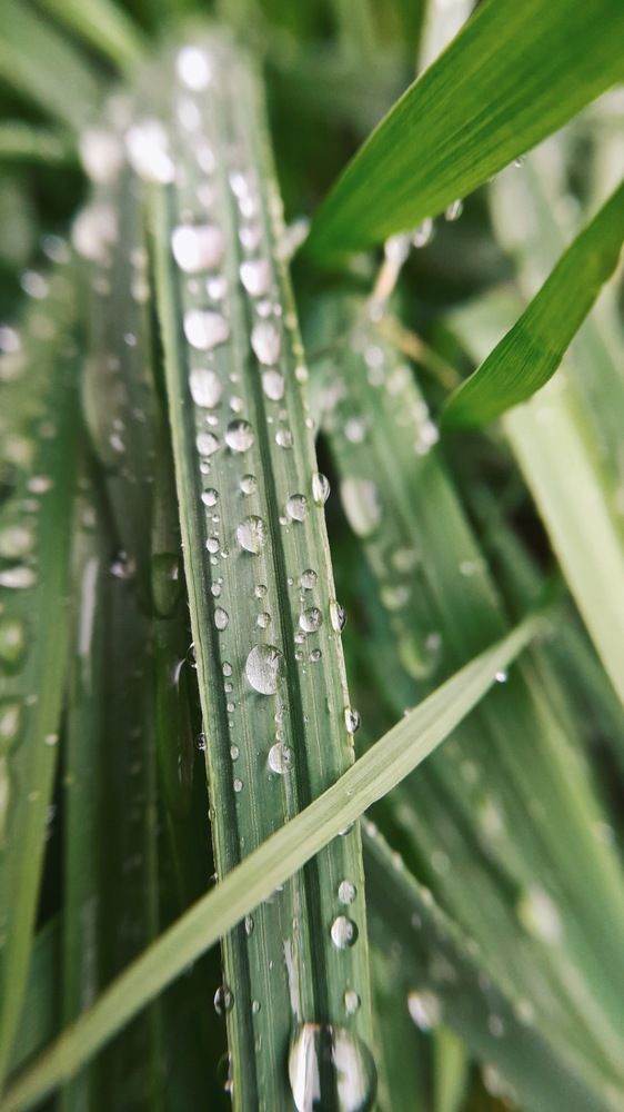 Фотография автора Анна Морозова