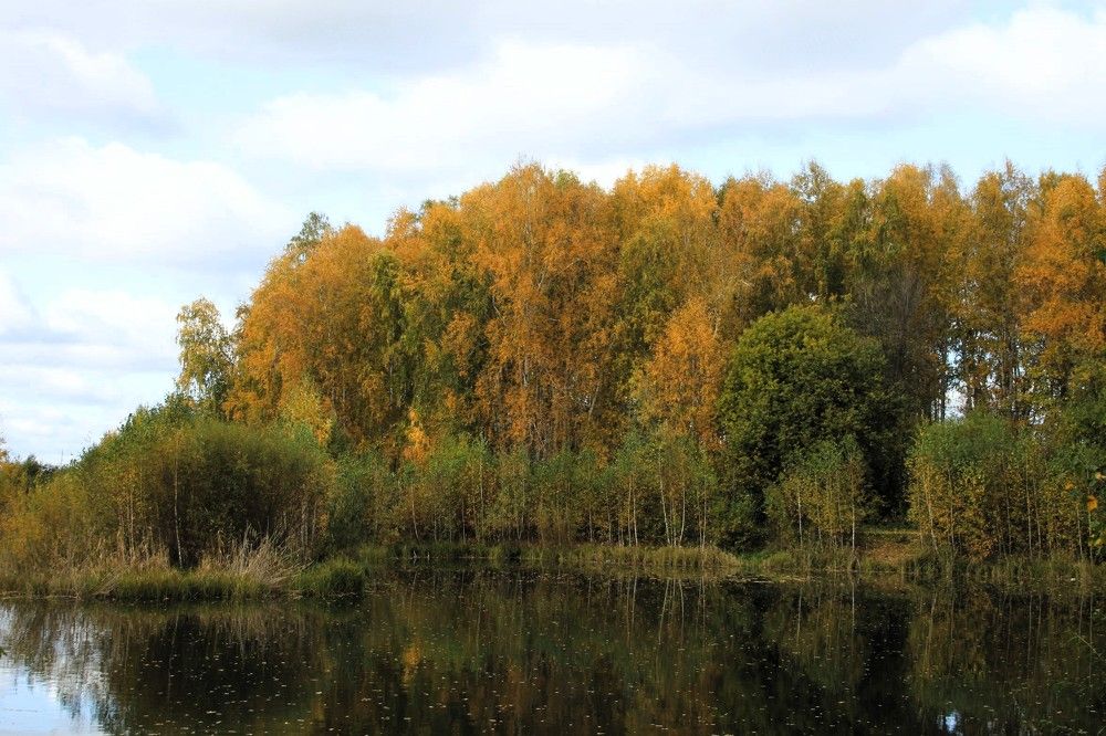 Photograph by Кристина Разаманова