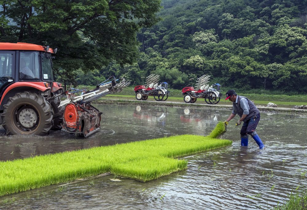 Photograph by Сергей Галёса