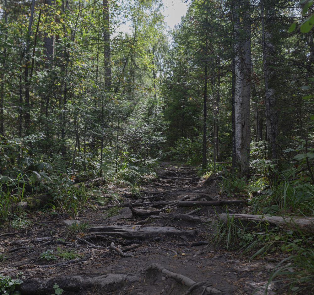 Photograph by Anton Gaev