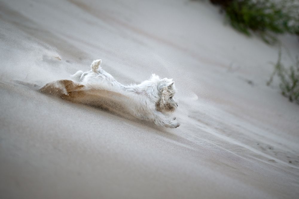 Photograph by Наталья Орел