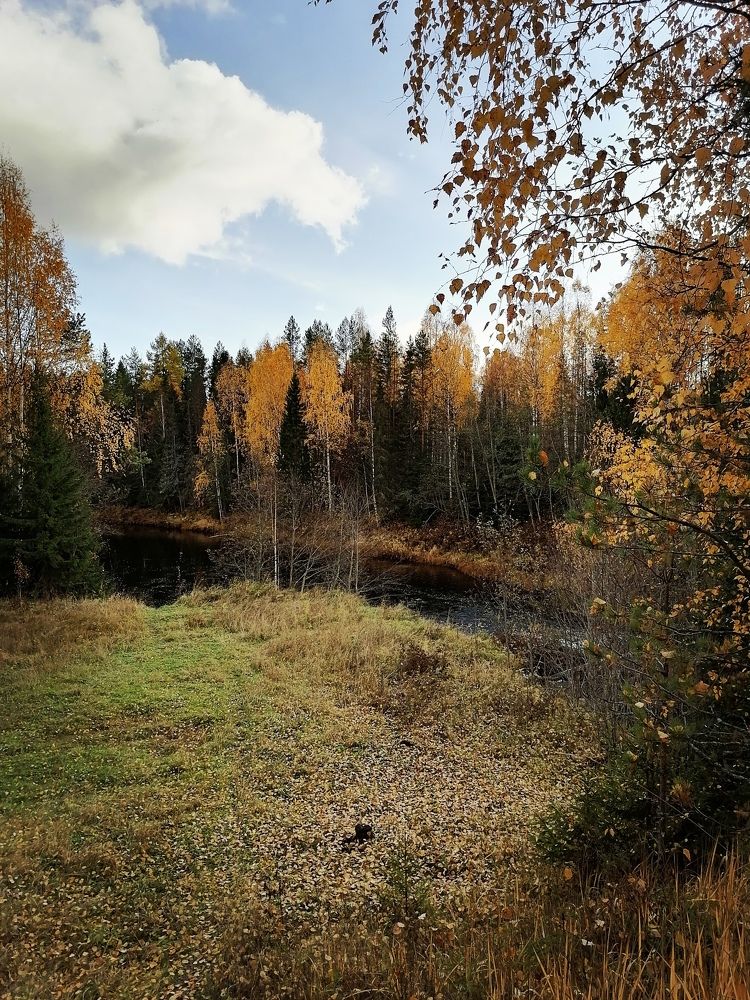 Photograph by Татьяна Бешенкина