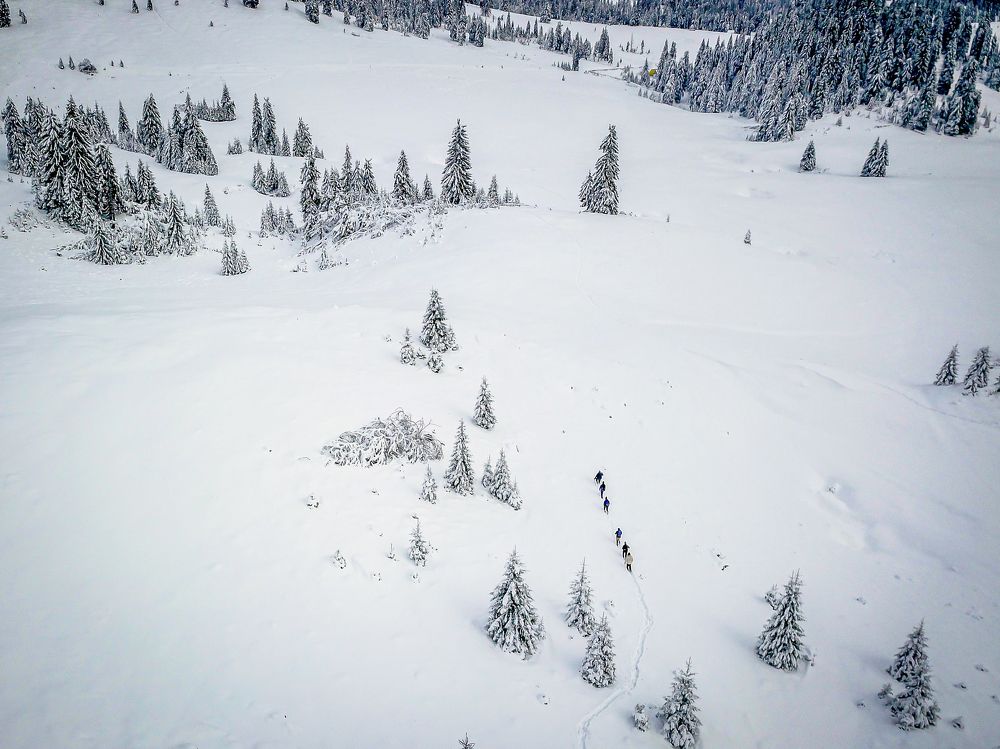 Photograph by George Alexandru Ghiuro