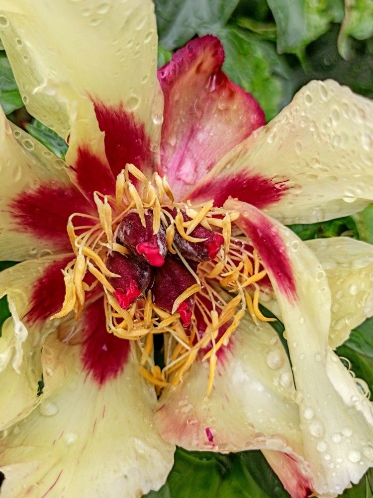 После дождя...