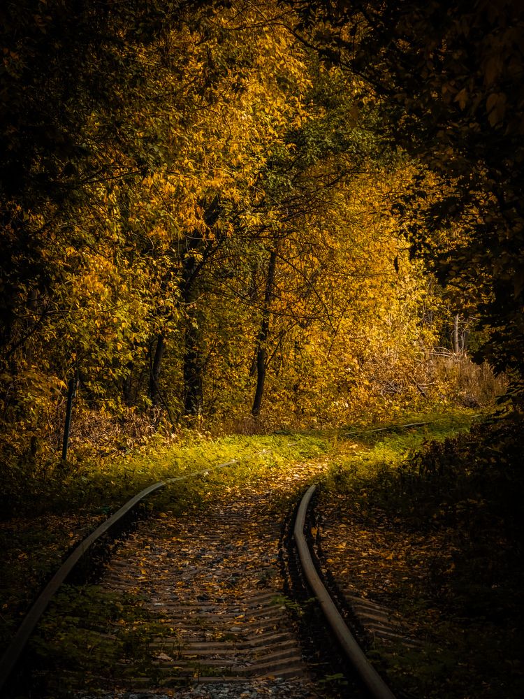 Photograph by Konstantin Martynov