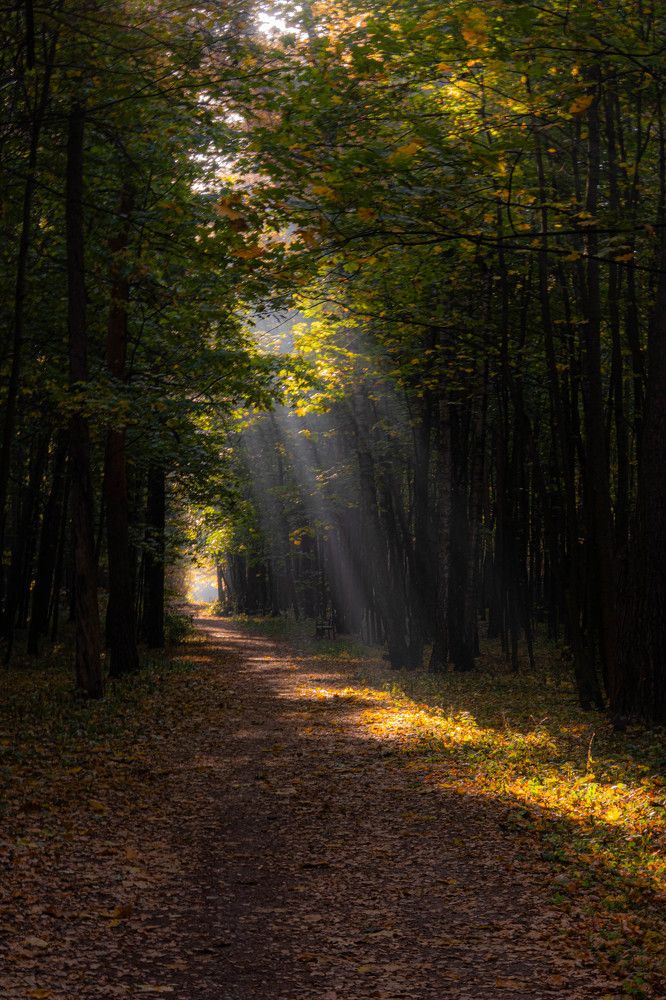 Photograph by Игорь Криулин