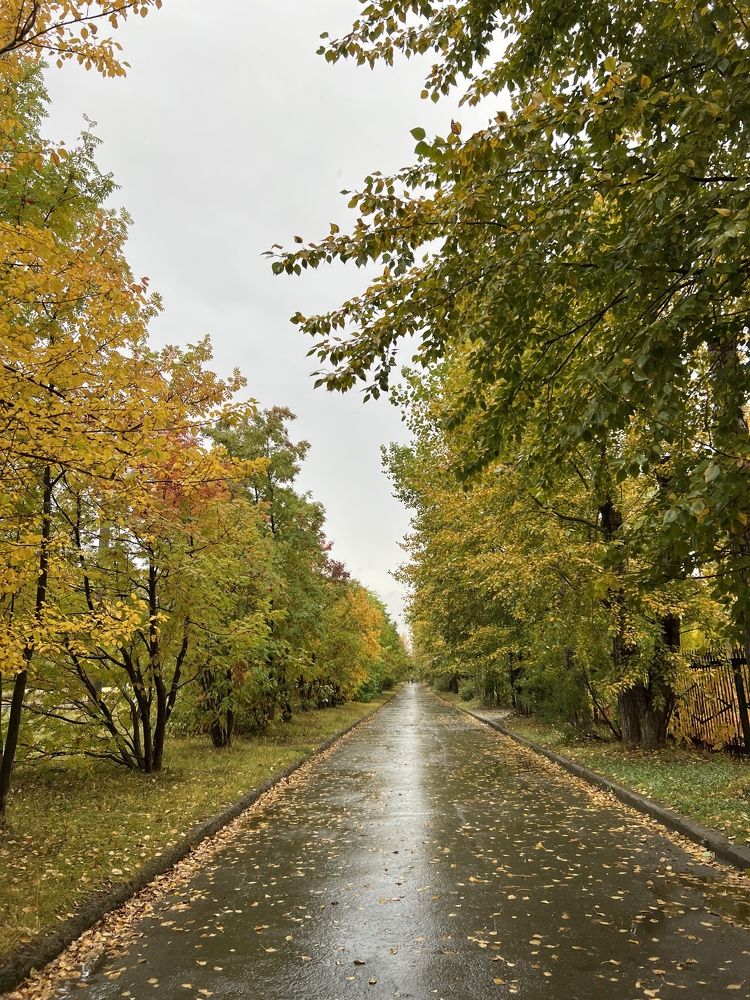 Photograph by Татьяна Унал