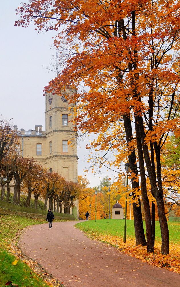 осень в гатчине.