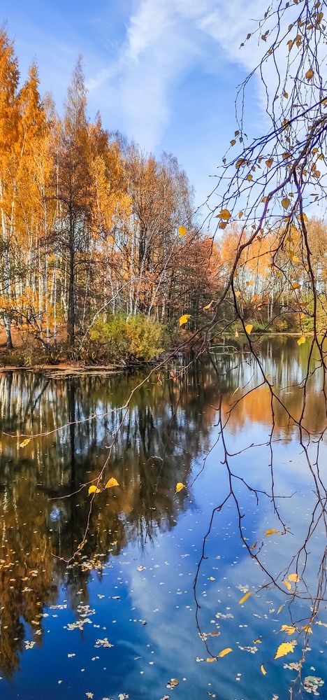 Photograph by Анастасия