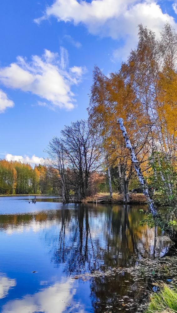 Photograph by Анастасия