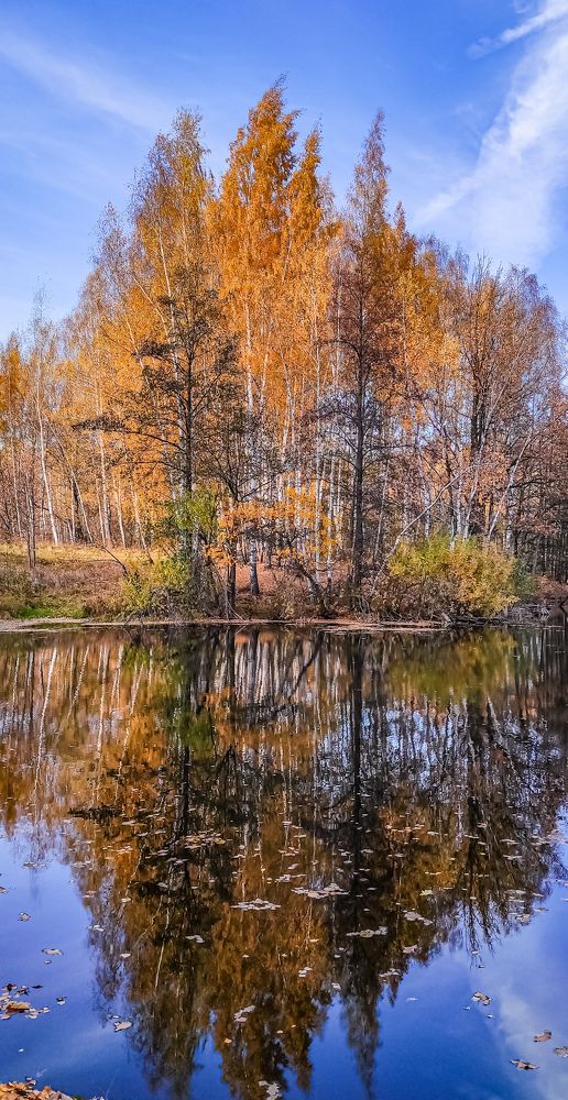 Photograph by Анастасия