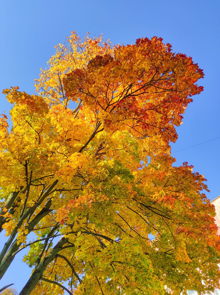 Photograph by Анастасия