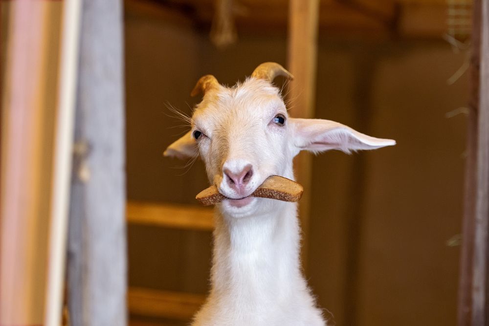 Photograph by Андрей Анатольевич Жуков