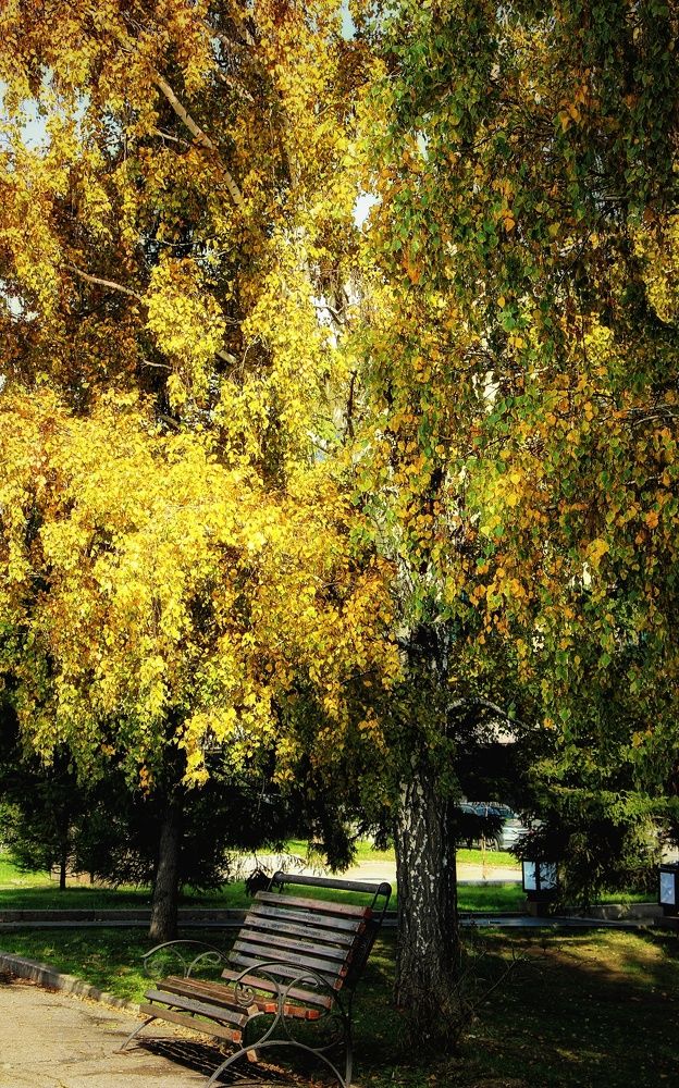 Photograph by Владимир Сушкин