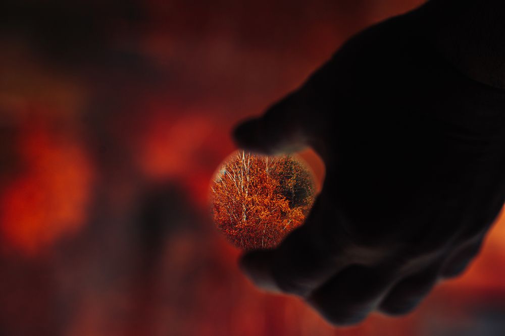 Photograph by Артём Александрович