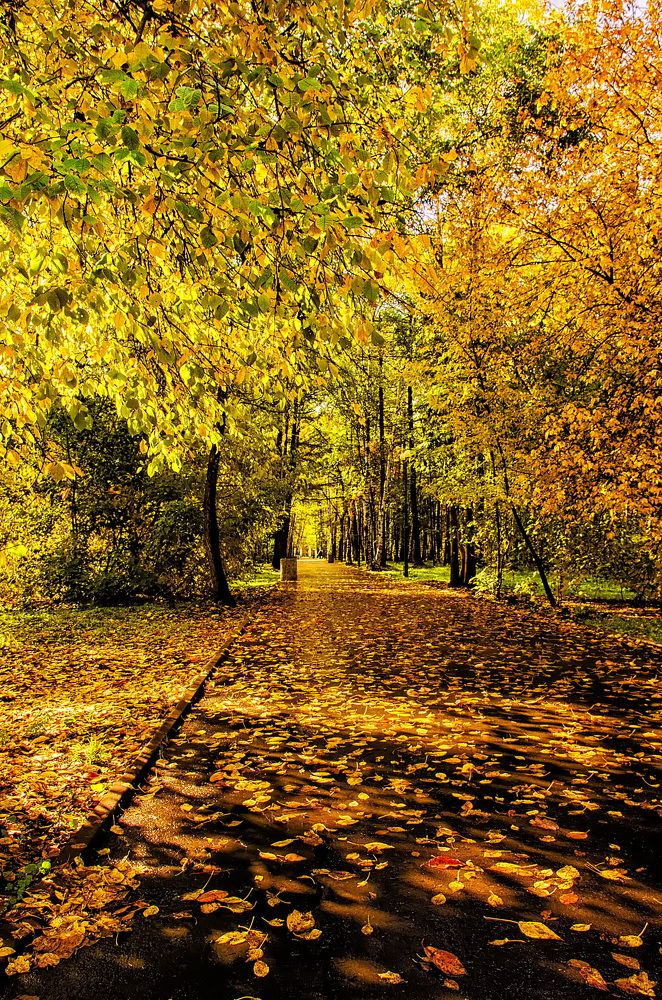 Photograph by Даниил Марков