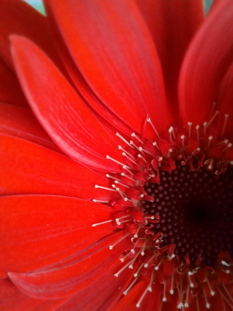 Photograph by Елена Валерьевна