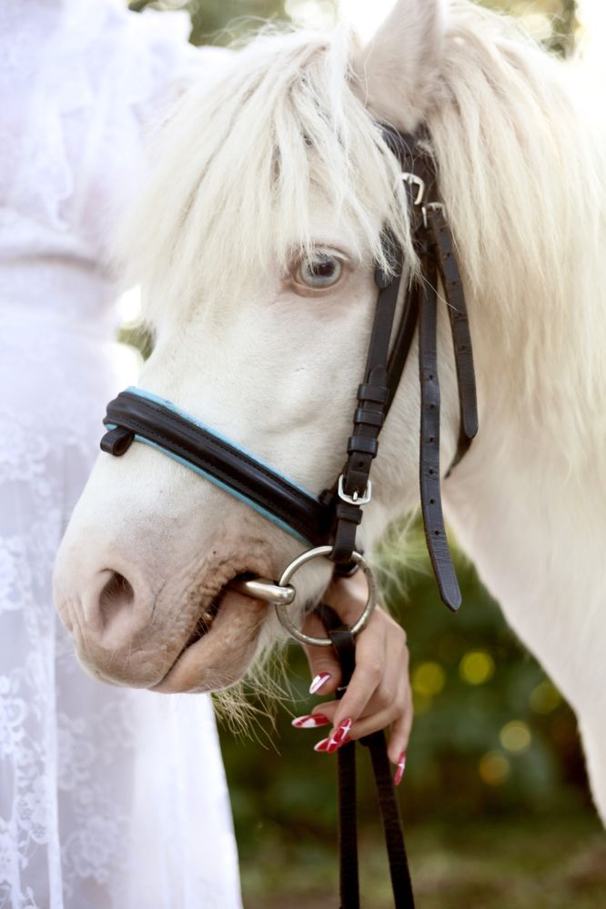 Photograph by Александра Устинова