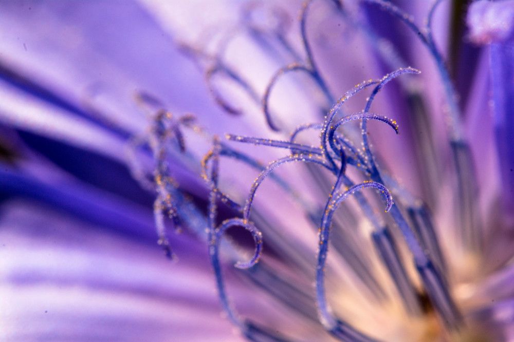 Photograph by Людмила Прибылова