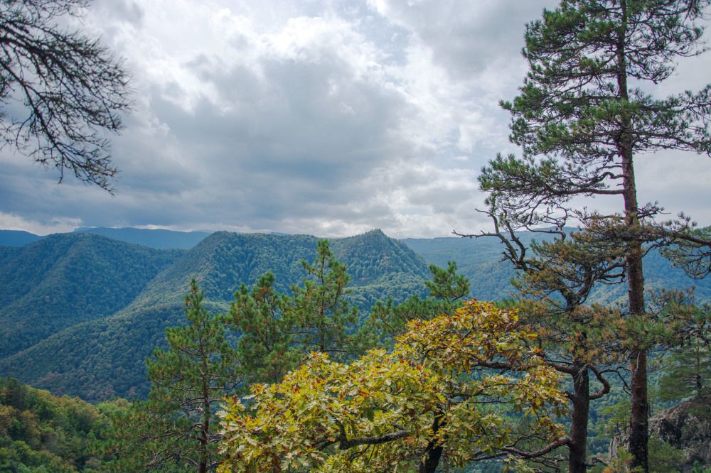 вид со смотровой г. Трезубец