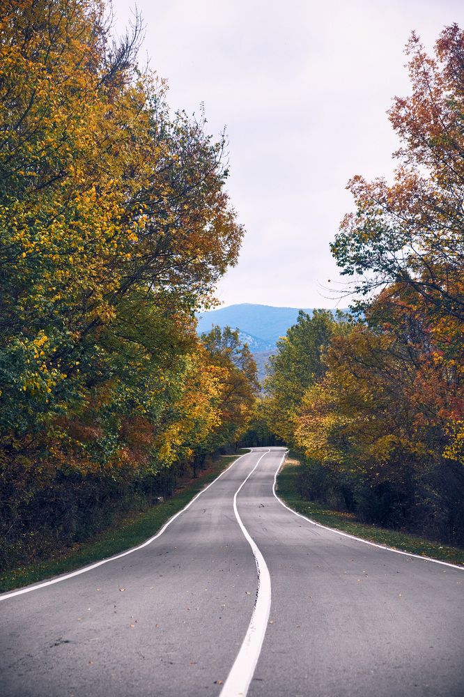 Photograph by Станислав Дроздов