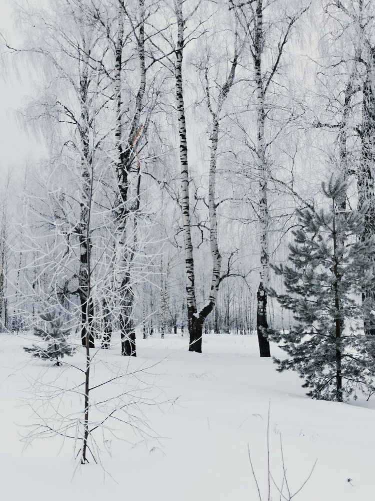 Photograph by Елена Артёменко