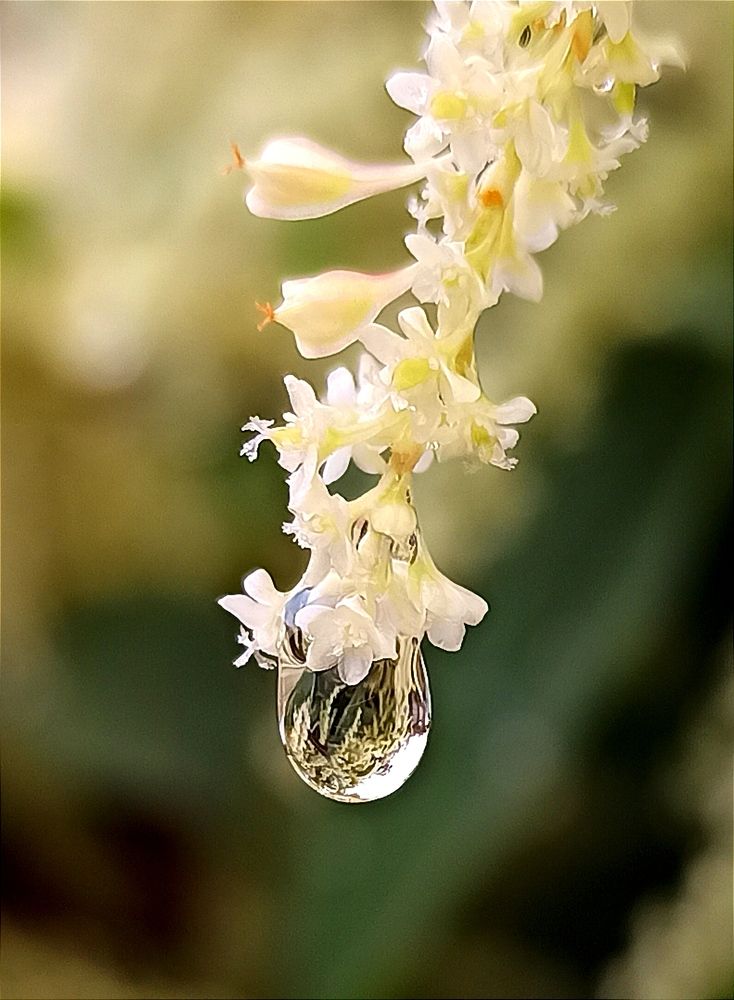 Photograph by Ольга Тихонова