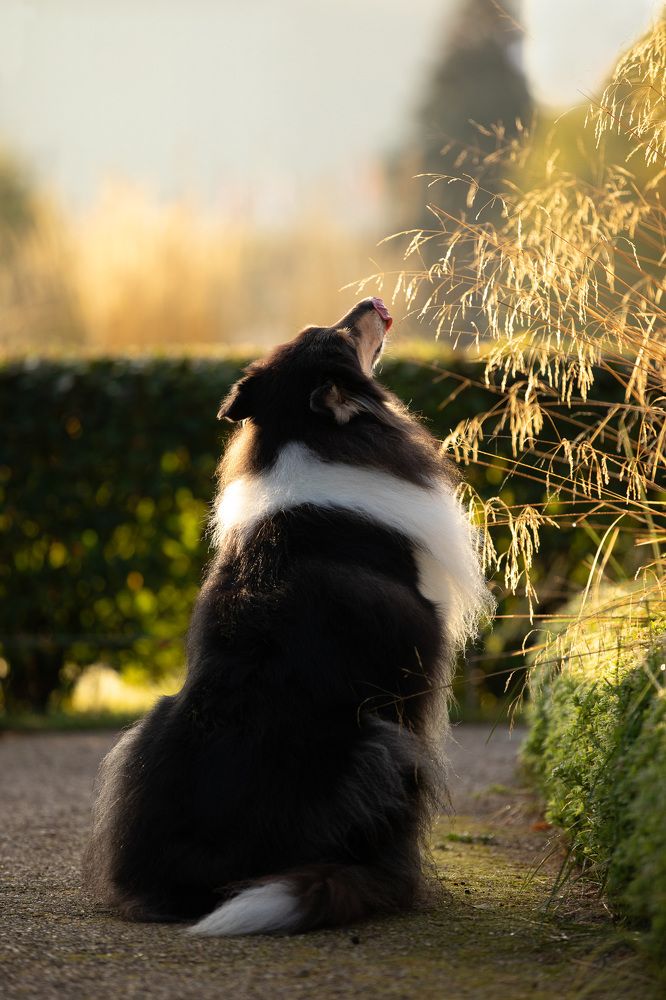 Фотография автора Татьяна Фролова