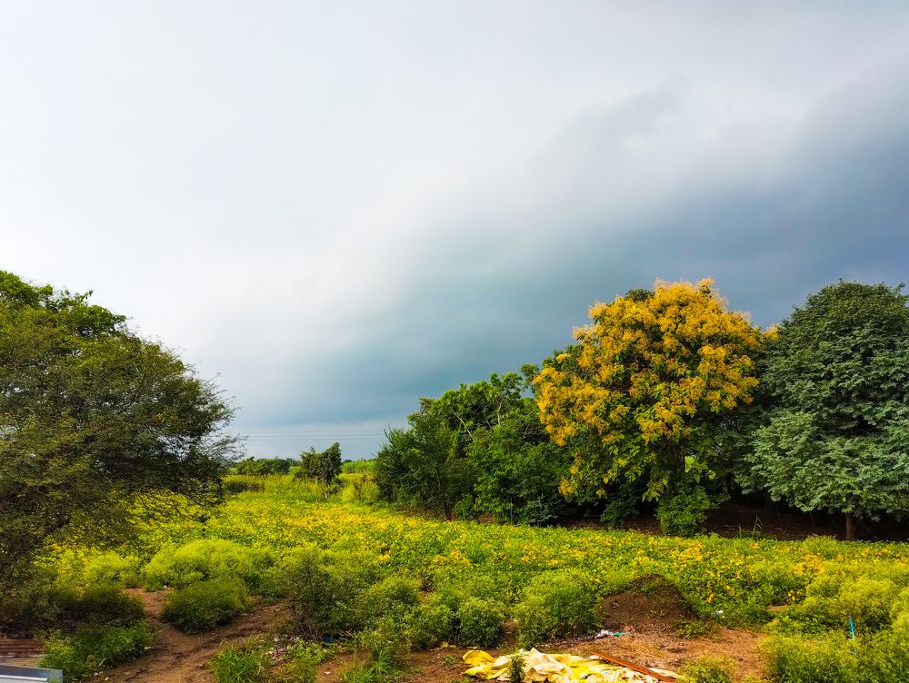 Colors of Nature