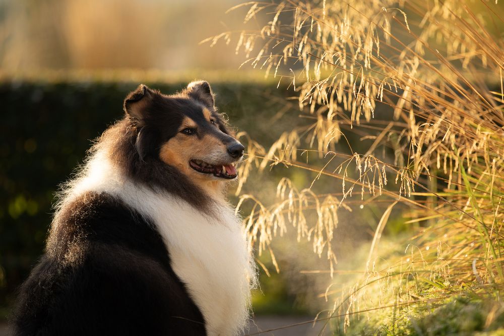 Фотография автора Татьяна Фролова