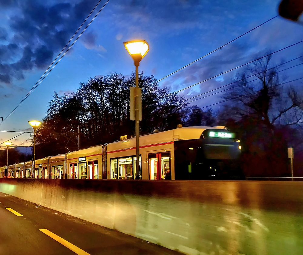 Photograph by Catherine