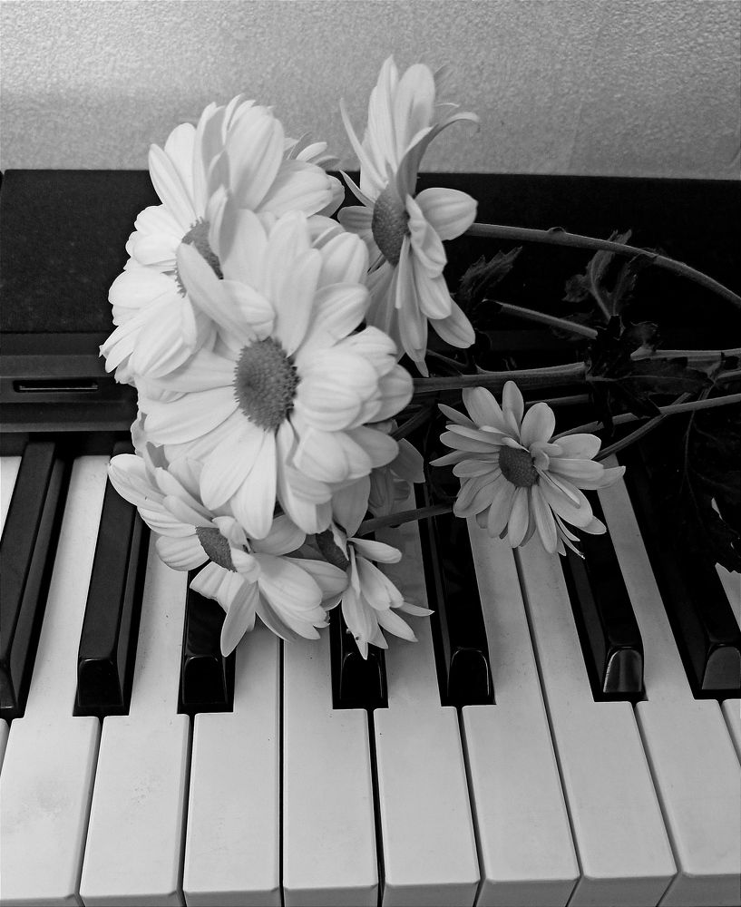 Photograph by Ольга Тихонова