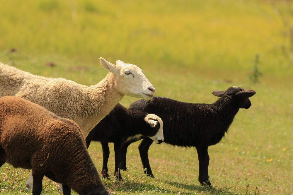 Photograph by Ангелина Высочина