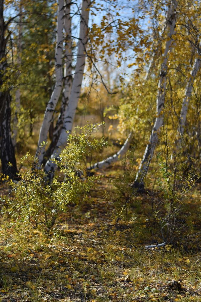 Photograph by Мария Бундакова