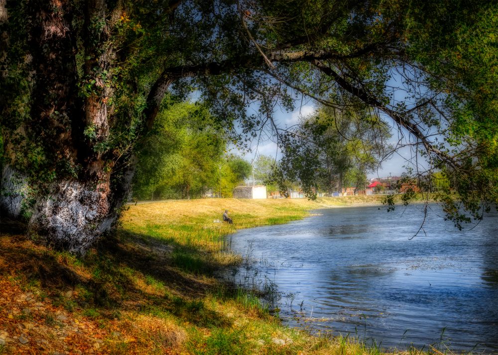 Photograph by Владимир Кваша