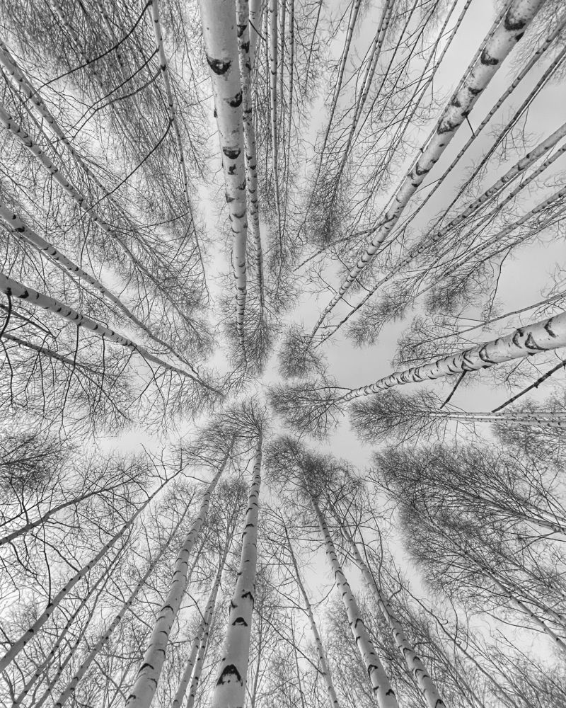 Photograph by Мария Акимова