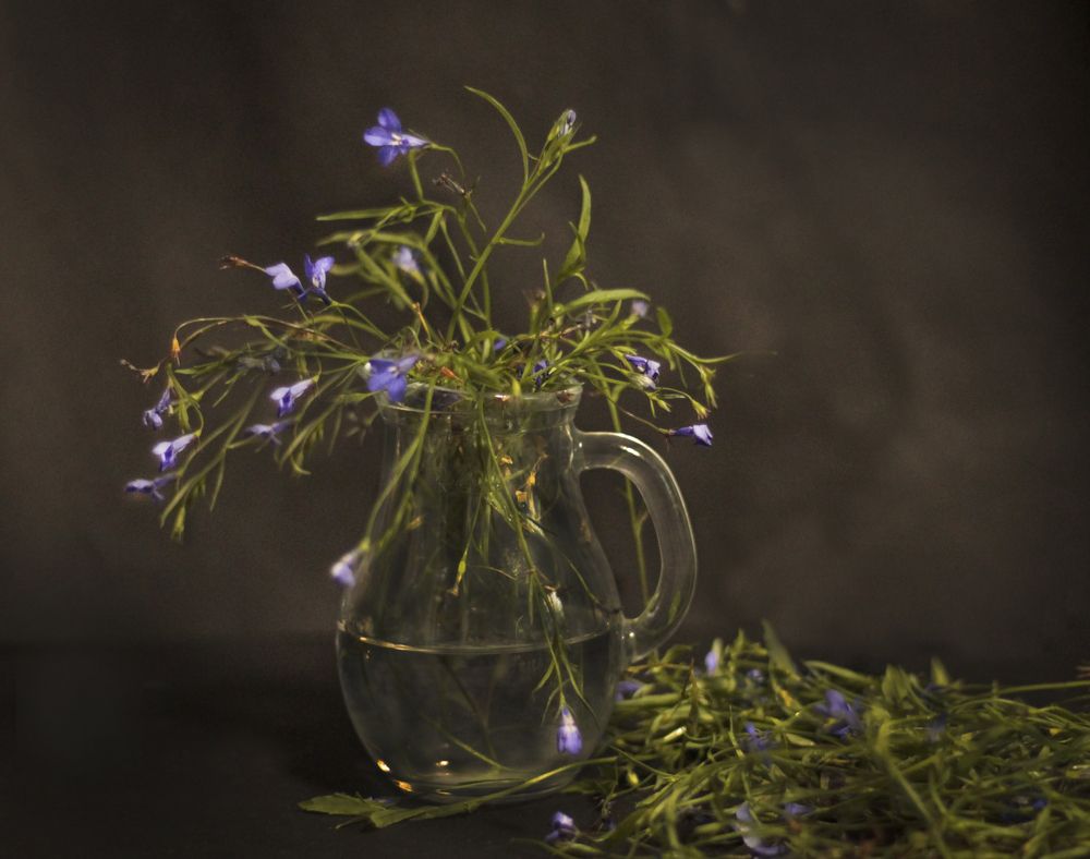 Photograph by Татьяна Гатиятуллина