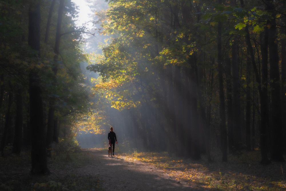 Photograph by Игорь Криулин