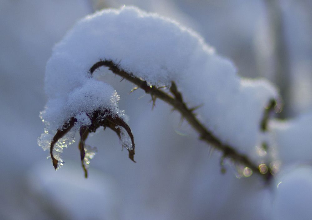 Photograph by Екатерина Филина